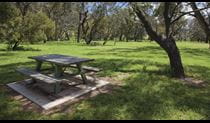 Picnic table in Borenore picnic area. Photo: &copy; Ian Brown
