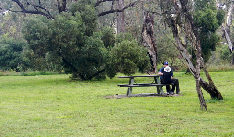 Person sitting at a table in Borenore picnic area. Photo &copy; Debby McGerty