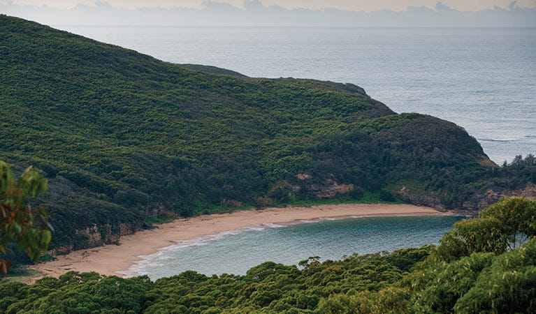 View looking down to Maitland Bay in Bouddi National Park. Photo credit: Nick Cubbin &copy; OEH