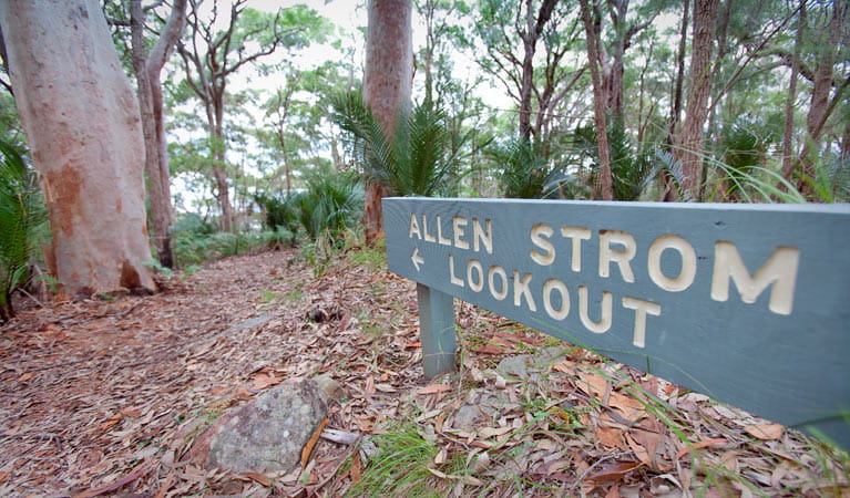 Allen Strom lookout directional sign in Bouddi National Park. Photo: Nick Cubbin