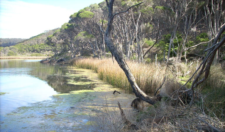 Bournda Lagoon, Bournda National Park. Photo: BECC/NSW Government