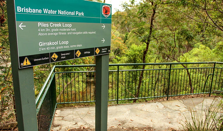 Girrakool loop track, Brisbane Water National Park. Photo: John Yurasek &copy; OEH