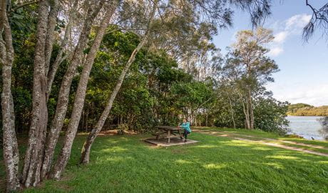 A woman sitting at a picnic table surrounded by trees in Brunswick River picnic area, Brunswick Heads Nature Reserve. Photo: John Spencer/DPIE