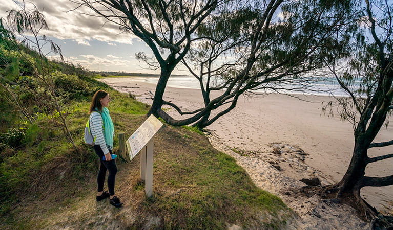 A woman reading an information sign by the beach along North Head walking track in Brunswick Heads Nature Reserve. Photo: John Spencer &copy; OEH