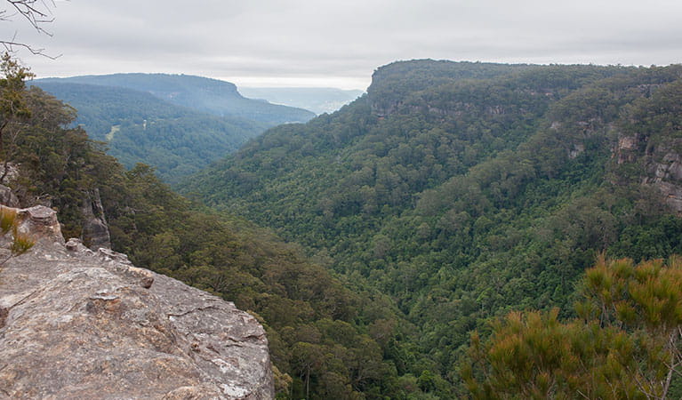 Views into the valley from Budderoo Plateau, Budderoo National Park. Photo credit: Michael Van Ewijk &copy; DPIE