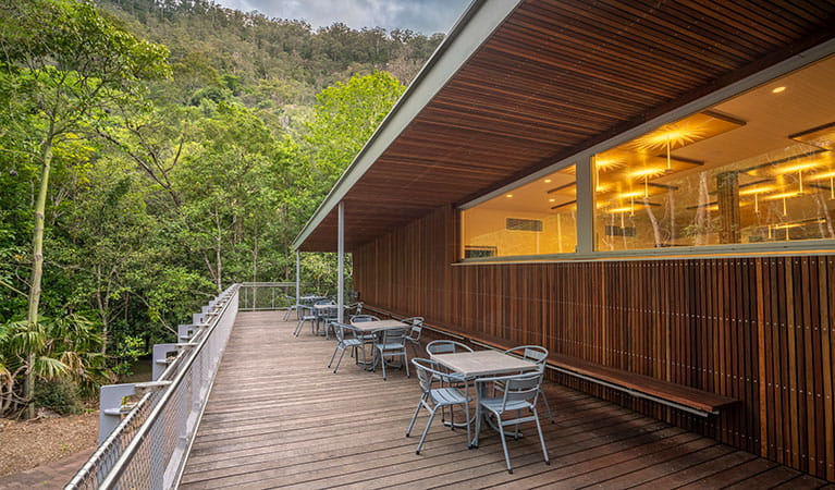 The balcony outside Minnamurra Rainforest Centre with chairs and tables, and rainforest in the background. Photo: John Spencer &copy; DPIE