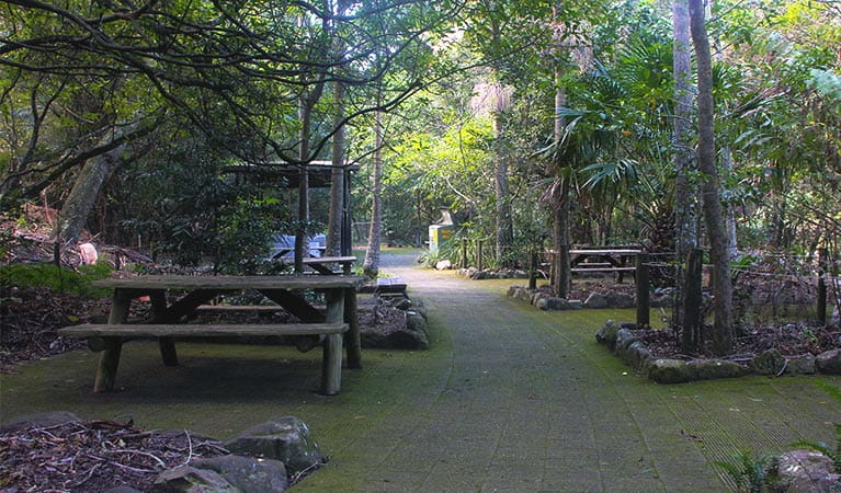 Several picnic tables on paving set amongst lush rainforest plants and trees in Budderoo National Park. Photo credit: Geoff Saunders &copy; DPIE