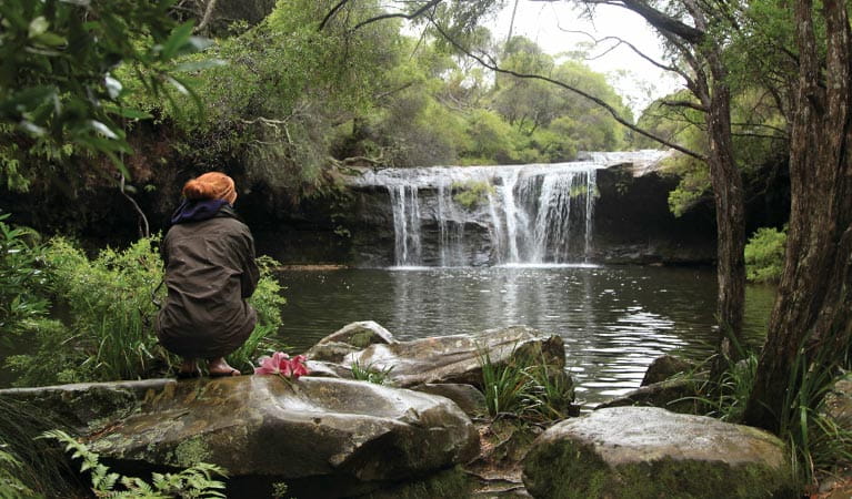 A visitor perches on a rock beside Nellies Glen in Budderoo National Park. Photo credit: Andrew Richards &copy; Andrew Richards