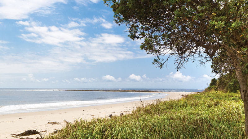 Beach in Iluka Nature Reserve, Bundjalung National Park. Photo: Rob Cleary