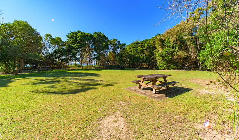 Picnic area showing flat site covered with grass and surrounded by coastal forest. Photo: Jessica Robertson/OEH.