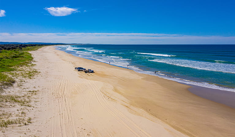 Aerial view of Shark Bay beach coastline with  4WD vehicles in the distance. Photo: Jessica Robertson/OEH. 