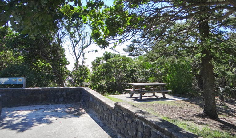 Captain Cook lookout and picnic area, Cape Byron State Conservation Area. Photo: N Oliver
