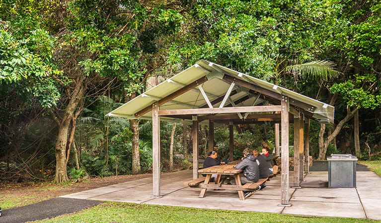 Group of people seated in picnic area in Palm Valley, Cape Byron State Conservation Area. Photo: John Spencer &copy; OEH