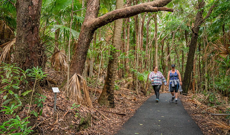 Two women on Palm Valley Currenbah walking track, Cape Byron State Conservation Area. Photo: John Spencer &copy; OEH