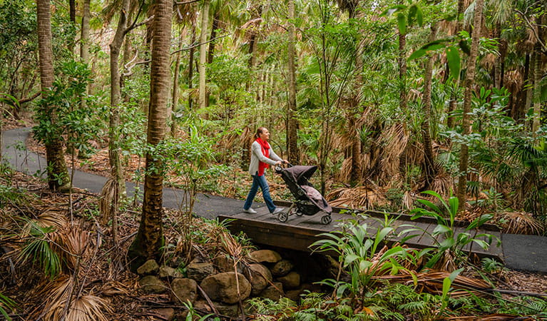 Woman with stroller on Palm Valley Currenbah walking track, Cape Byron State Conservation Area. Photo: John Spencer &copy; DPIE