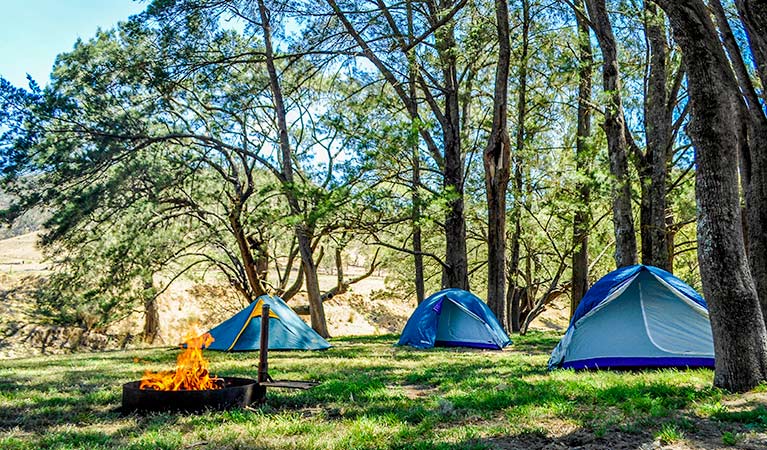 Capertee campground, Capertee National Park. Photo: Michelle Barton