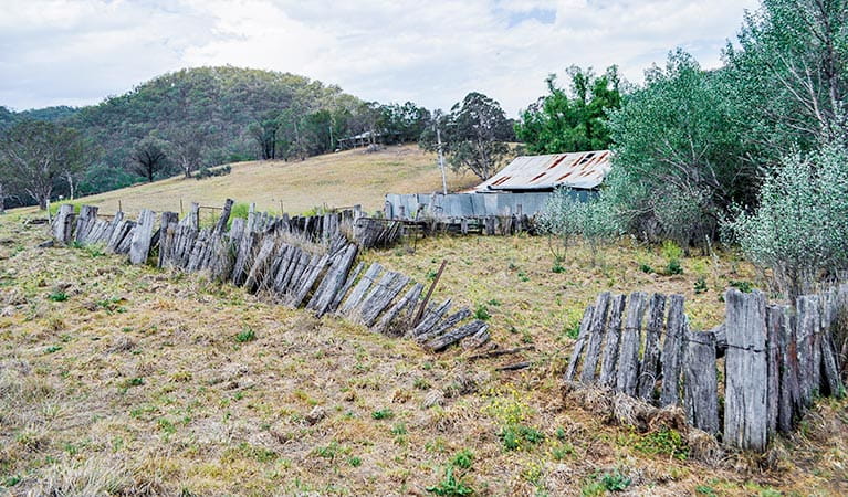 Capertee Woolshed ruins, Capertee National Park. Photo &copy; Michelle Barton