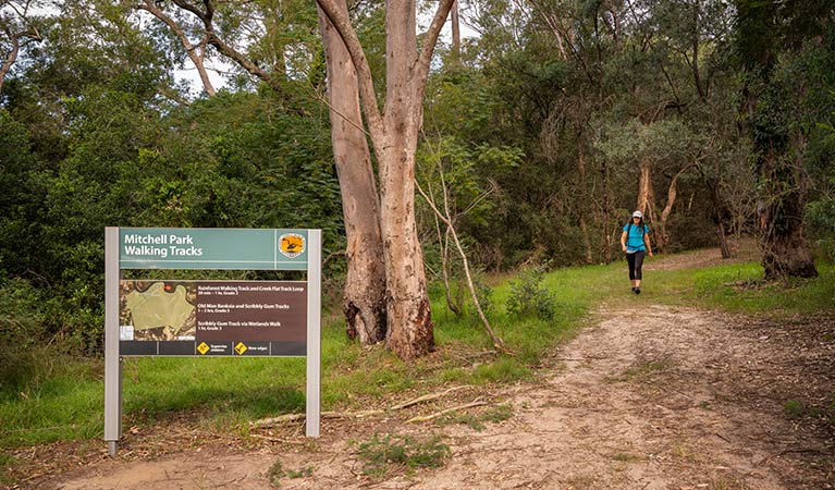 A woman walks along a forest path toward a sign for Mitchell Park walking tracks.  Photo: John Spencer &copy; OEH