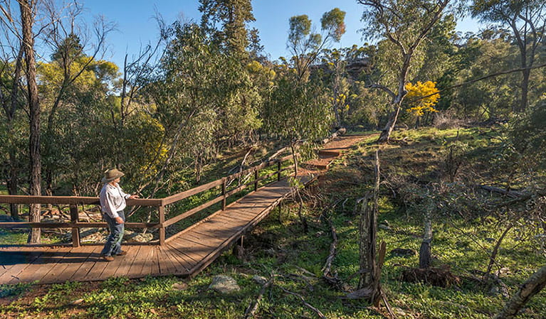 A man on Falcon Falls walking track in Cocoparra National Park. Photo: John Spencer/DPIE