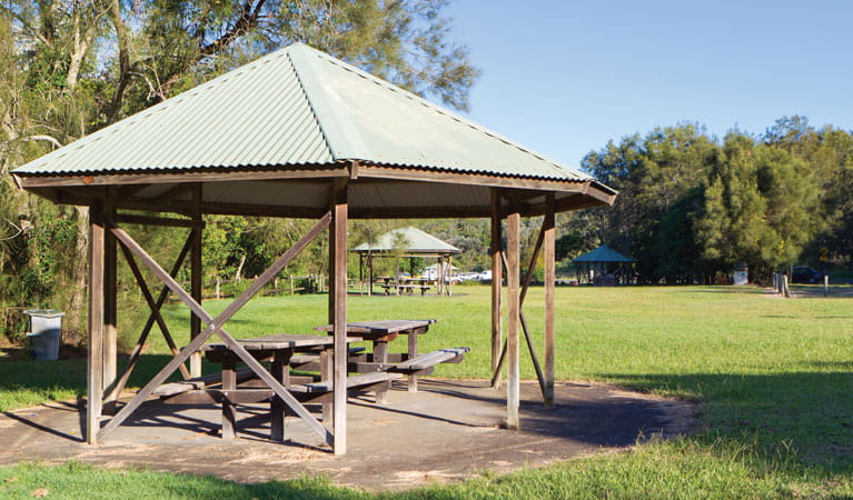 Diggers Beach picnic area. Photo: Rob Cleary