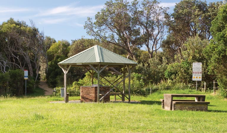 Picnic area shelter, Coffs Coast Regional Park. Photo: Rob Cleary