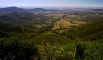 Panoramic view of forest-clad slopes, valleys and distant ridges. Photo &copy; Barry Collier