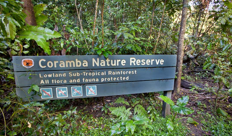 Coramba Nature Reserve. Photo: Robert Cleary &copy; DPIE