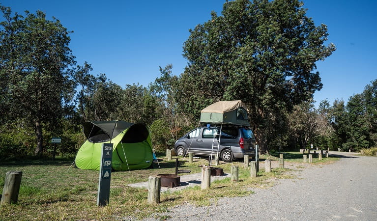 A tent and rooftop tent pitched at a campsite in Crowdy Gap campground, Crowdy Bay National Park. Photo: Rob Mulally/DPIE