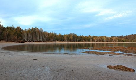 Cullendulla Beach against a blue sky in Cullendulla Creek Nature Reserve. Photo &copy; Matthew Makeham