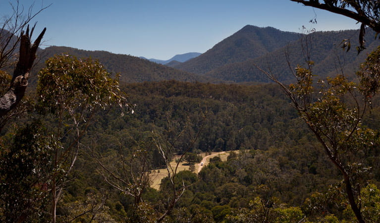 Bendethera Valley campground, Deua National Park. Photo: Lucas Boyd Copyright:NSW Government