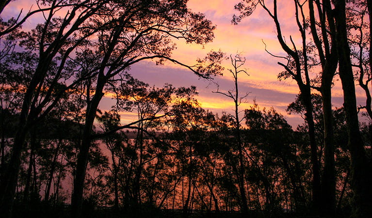 Sunset over Eurobodalla National Park. Photo: Dina Bullivant/NSW Government