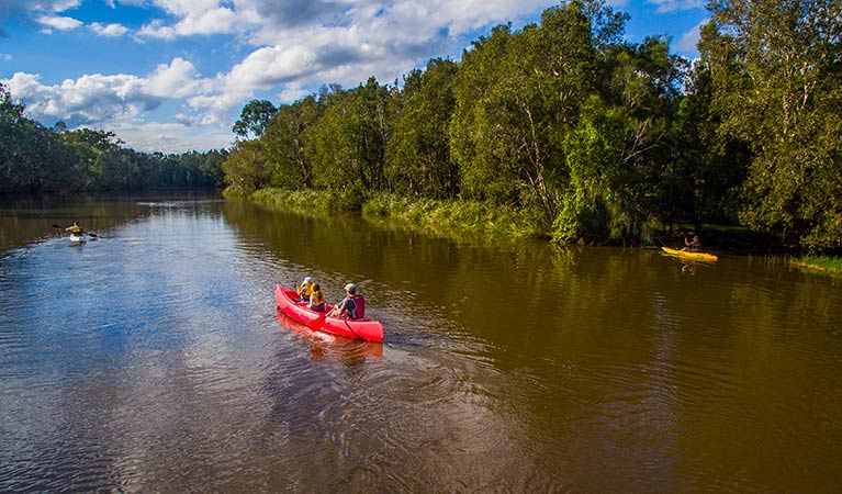 Family canoeing in Everlasting Swamp National Park. Photo: Jessica Robertson/OEH