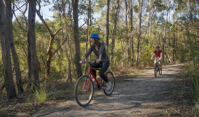 Two people riding their mountain bikes in Garigal National Park. Photo: John Spencer/OEH