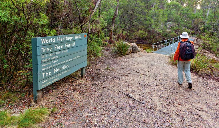 Gibraltar Washpool World Heritage Walk Nsw National Parks