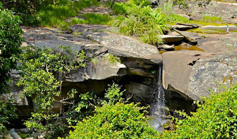 Waterfall on the Yuelarbah Track, Glenrock State Conservation Area. Photo: Shaun Sursok/NSW Government