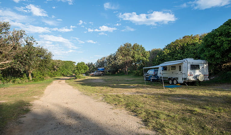 A caravan trailer and car on site at Racecourse campground, Goolawah National Park. Photo: John Spencer/OEH