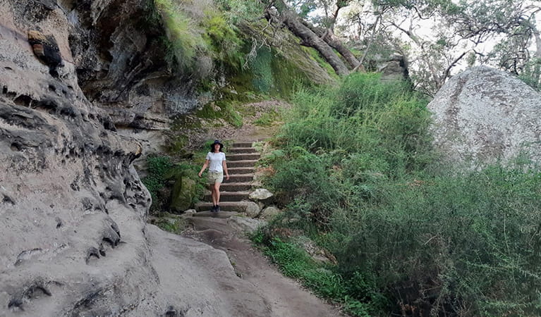 Girl walks down steps surrounded by ferns and a mossy rock wall. Photo: Natasha Webb