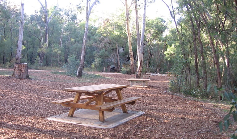 The Drip's spacious picnic area, with picnic tables and surrounding gums and other trees. Photo: Greg Lowe