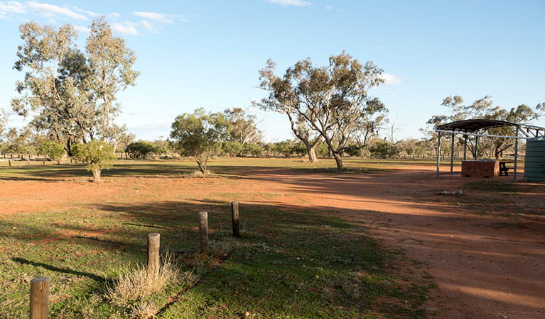 Yanda campground in Gundabooka State Conservation Area. Photo: Leah Pippos &copy; DPIE