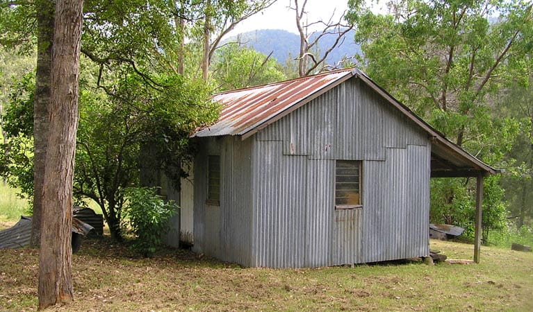Adams Hut, Dalmorton Campground, Guy Fawkes River State Conservation Area. Photo: S Leathers/NSW Government