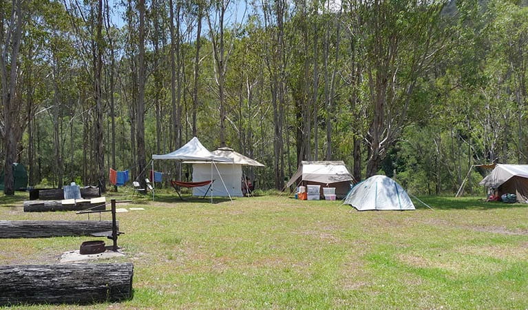 Dalmorton campground, Guy Fawkes River State Conservation Area. Photo: Richard Ghamraoui