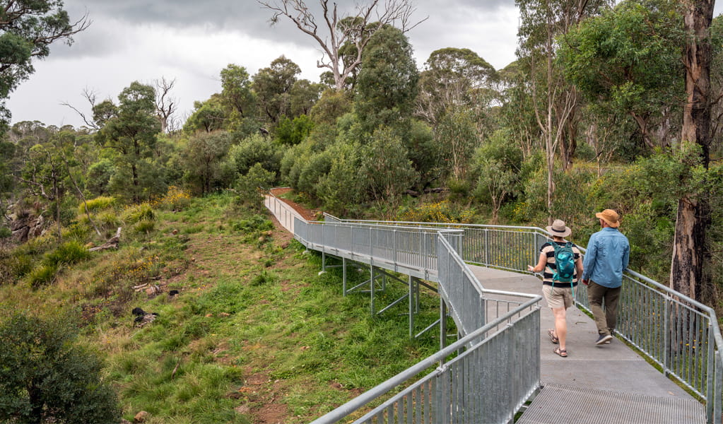 People on Eagle walking track near Ebor Falls, Guy Fawkes River National Park. Photo: David Waugh, &copy; DCCEEW