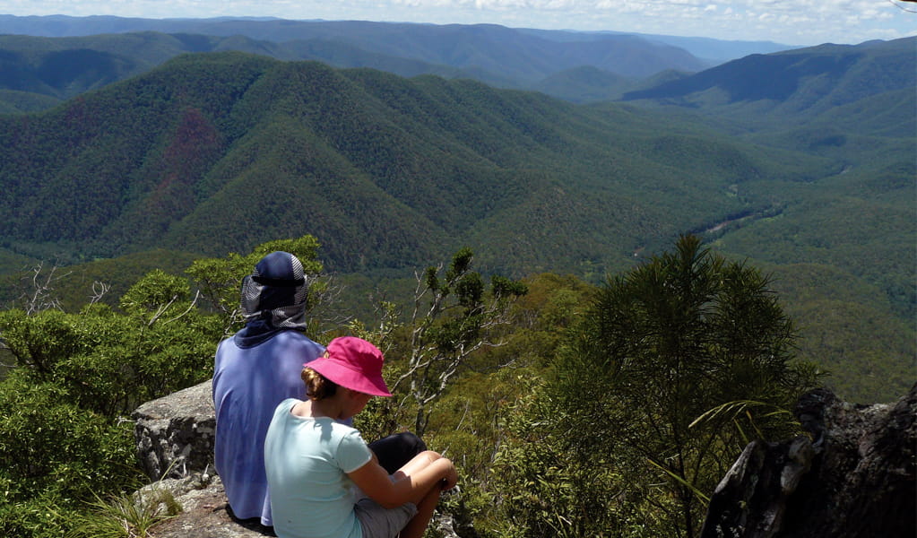 People looking at a view of distant hills from the Escarpment walk, Guy Fawkes River National Park. Photo: Barbara Webster/DCCEEW &copy; Barbara Webster.