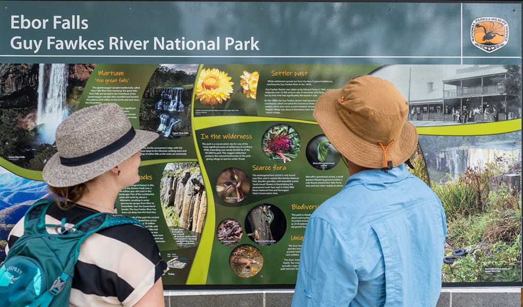 Two people looking at interpretive signage for Guy Fawkes River National Park at Ebor Falls. Photo: David Waugh, &copy; DCCEEW