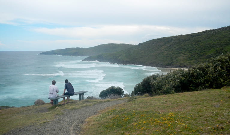 Connors Beach walking track, Hat Head National Park. Photo: Debby McGerty &copy; OEH