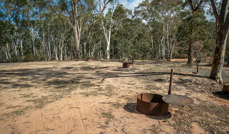 Metal fire rings surrounded by bushland at Glendora campground in Hill End Historic Site. Photo: John Spencer/OEH