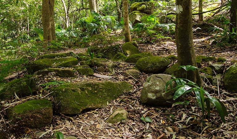 Woodland debris, Illawarra State Conservation Area. Photo: John Spencer &copy; OEH