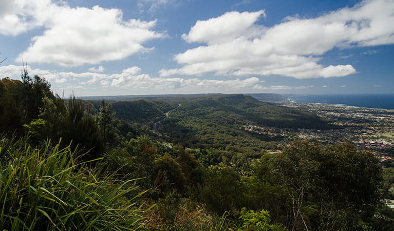 Escarpment, Illawarra Escarpment State Conservation Area. Photo: John Spencer &copy; DPIE