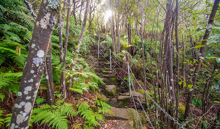 Sublime Point walking track, Illawarra Escarpment State Conservation Area. Photo: Nick Cubbin &copy; OEH