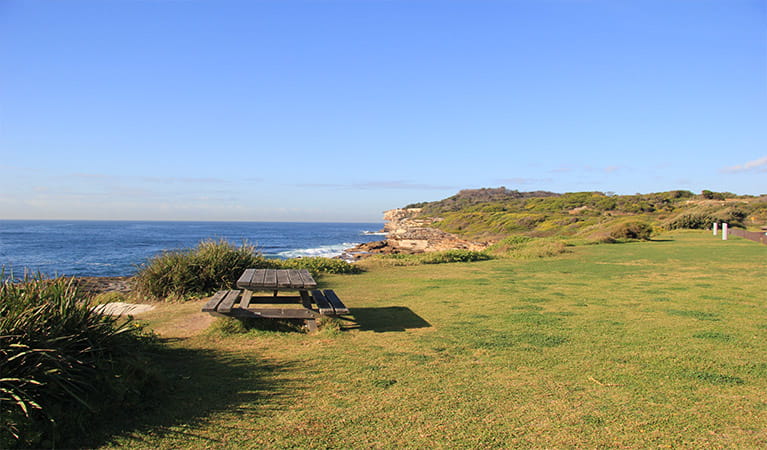Grassy picnic area with picnic table, and ocean and cliffs in the background. Photo: Natasha Webb